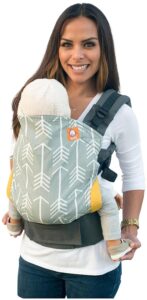Baby Tula Toddler Carrier